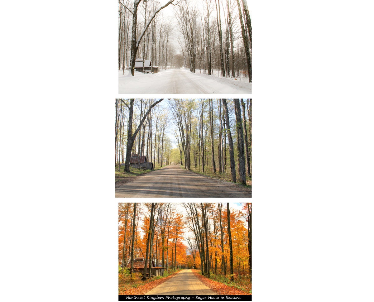 Sugar House in Seasons - Trio of 8x10" Prints