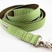 Celery Green Polka Dot Dog Leash