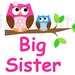 Printable Owl Big Sister and Little Brother Iron On Transfers - great for making a big sister shirt and little brother shirt