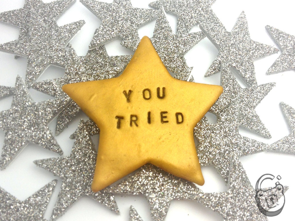 You Tried Star Brooch Polymer Clay 5cm