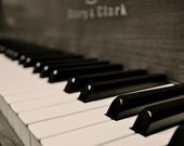 Ebony and Ivory, Piano keys, fine art photography,Puyallup, WA