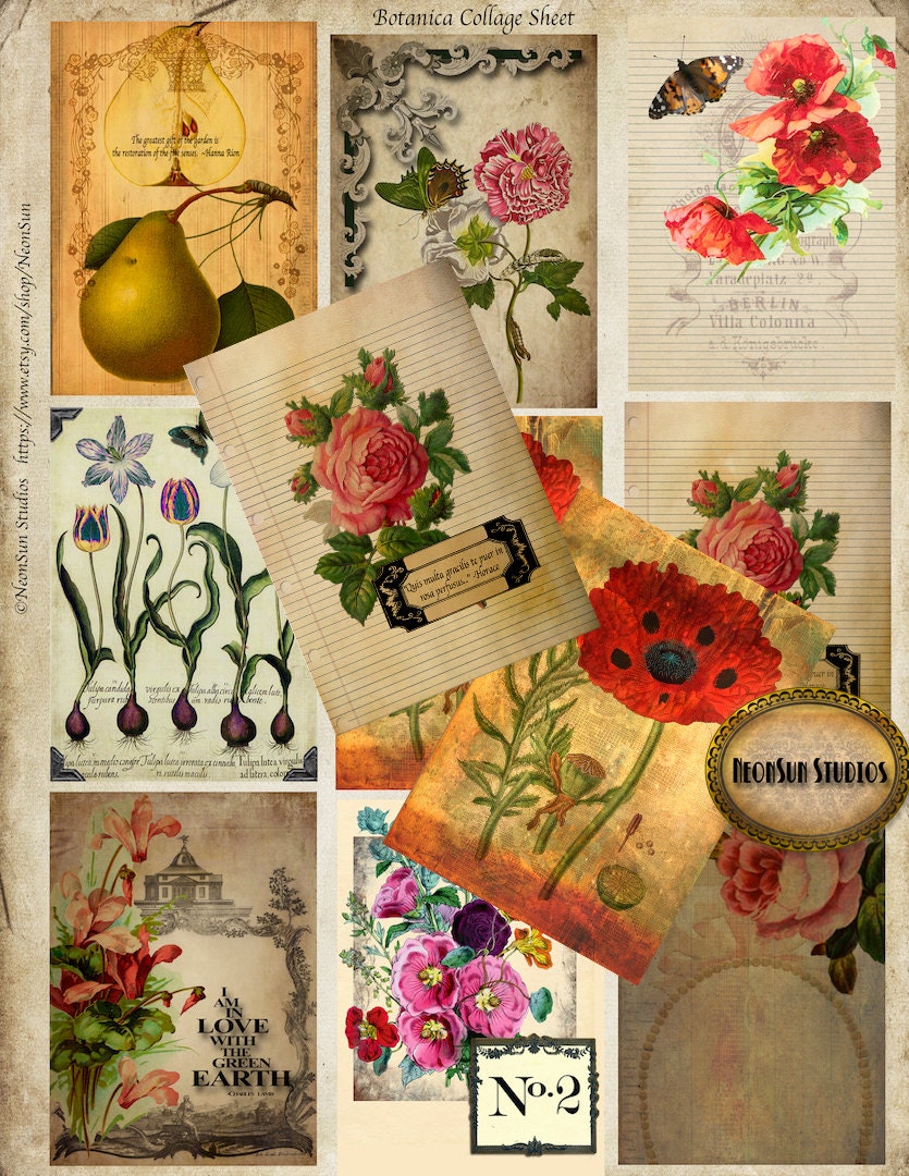Botanical Flower Collage Sheet with Poppies, Roses and Topiary, ATC