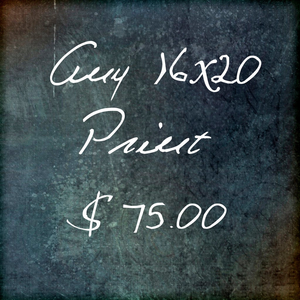 16x20 size fine art photography  print, photography       by cindy taylor