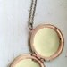 Flying Swallow Locket Necklace