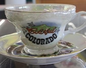 Vintage Colorful Colorado State Teacup and Saucer Set