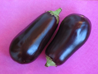 Organic Heirloom Black Beauty Eggplant Seeds