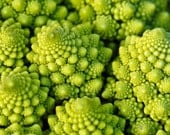 Heirloom Romanesco Italia Broccoli Seeds
