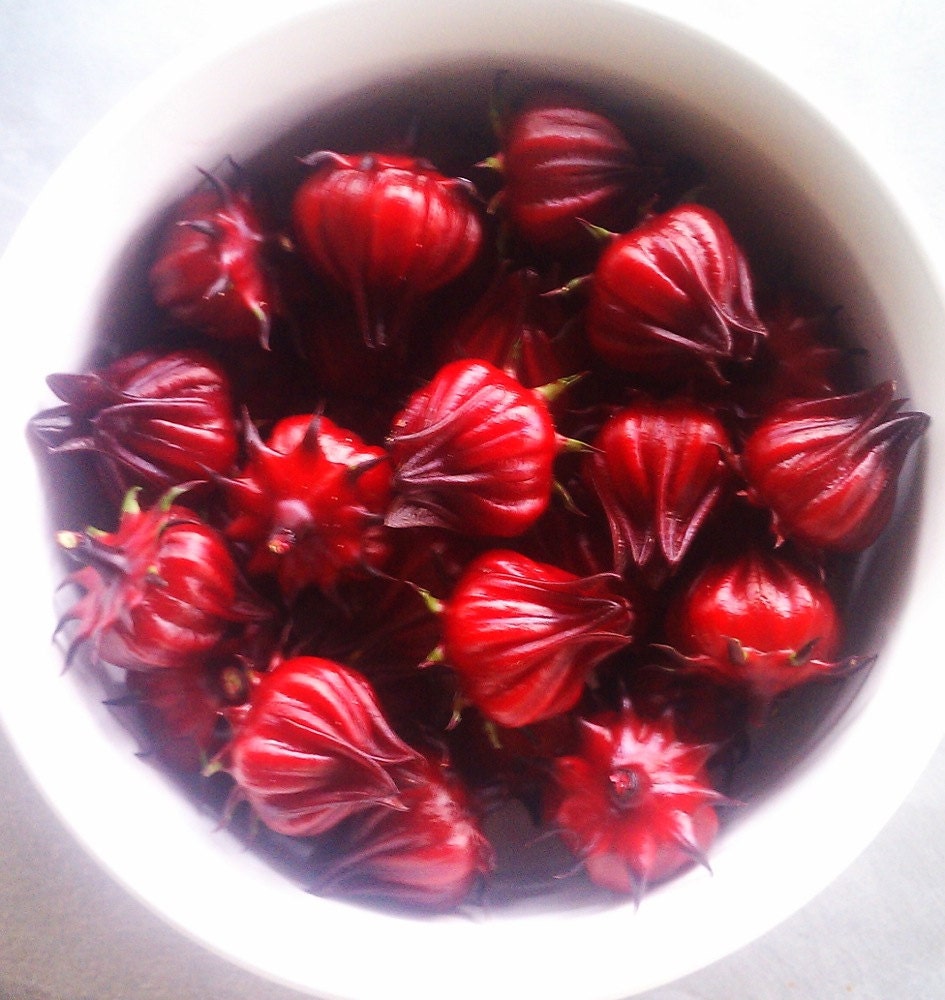 Roselle, Florida Cranberry, Jamaican Sorrel - Hibiscus Sabdariffa Seeds