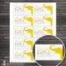 Yellow and Gray Chevron Elephant Baby Shower Diaper Raffle Tickets - Instant Download