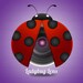 Photography Logo OOAK Ladybug Lens