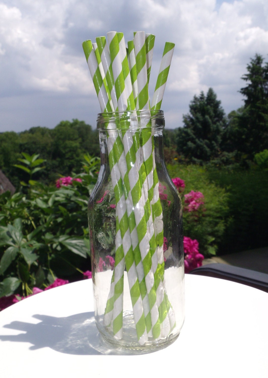 Paper Straws (24) Bright Green and White Striped