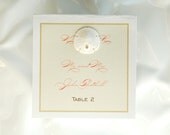 Tented Place Cards with Sand Dollar (or Starfish)