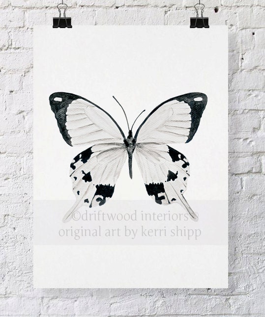 Butterfly in Black and White 8x10 Watercolor Print - The Monarchist - Butterfly Art