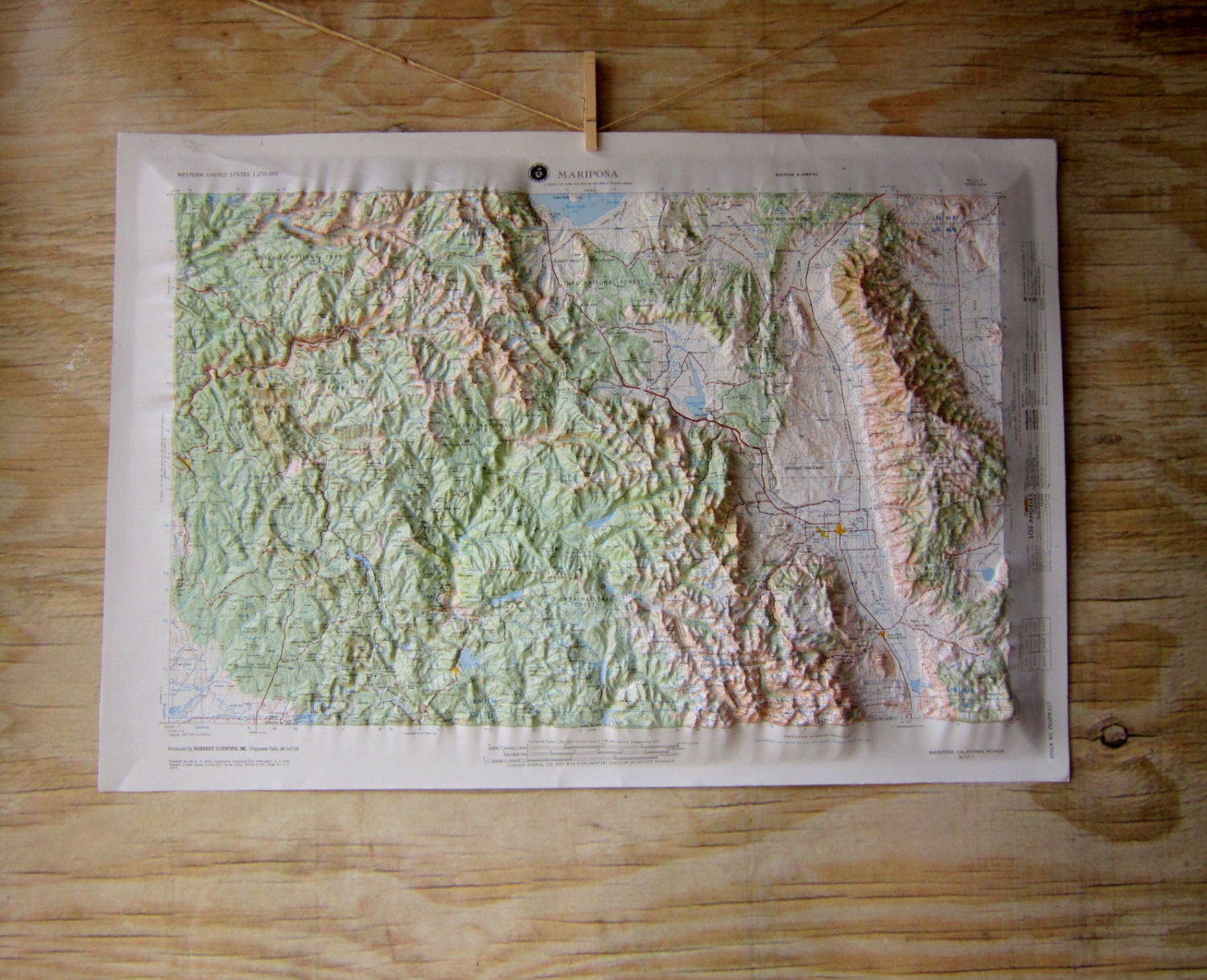 Vintage Raised  Relief Map Western United States 3D Topographic Map