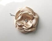 Champagne Hair Pin