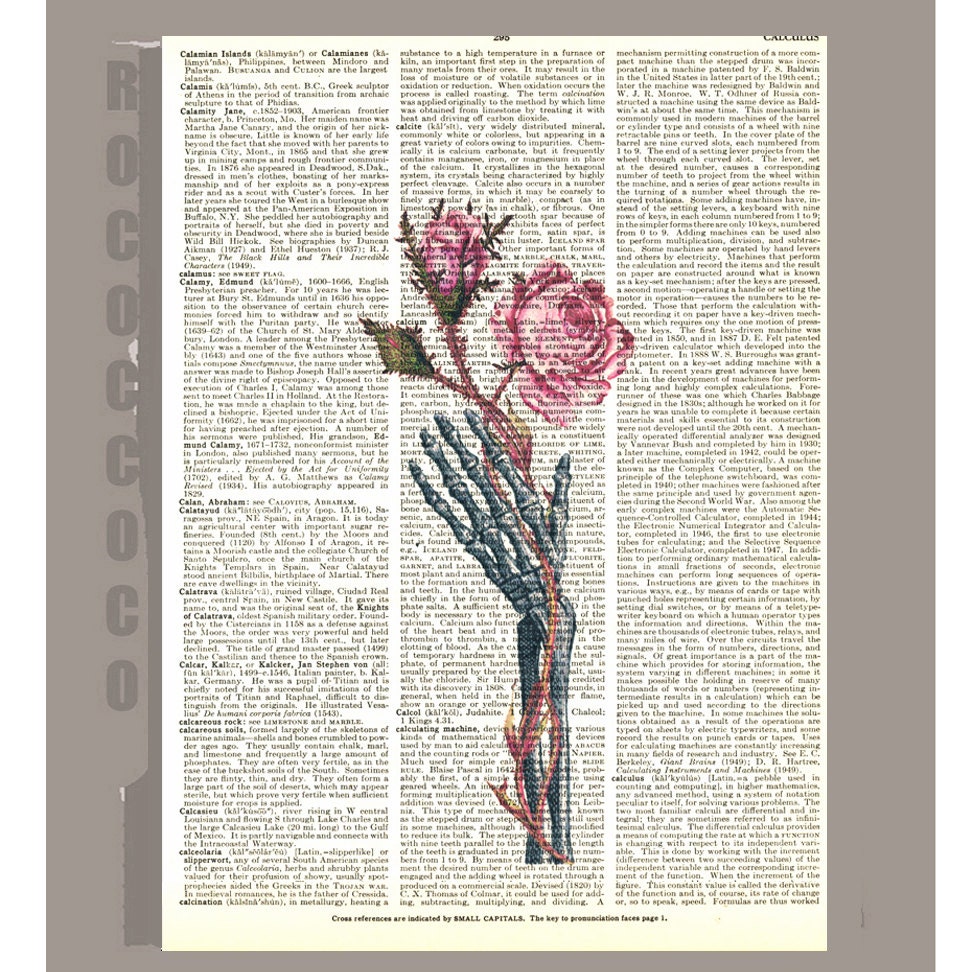 Roses - Anatomy art 1  -ORIGINAL ARTWORK printed on Repurposed Vintage Dictionary page 8x10 -Upcycled Book Print