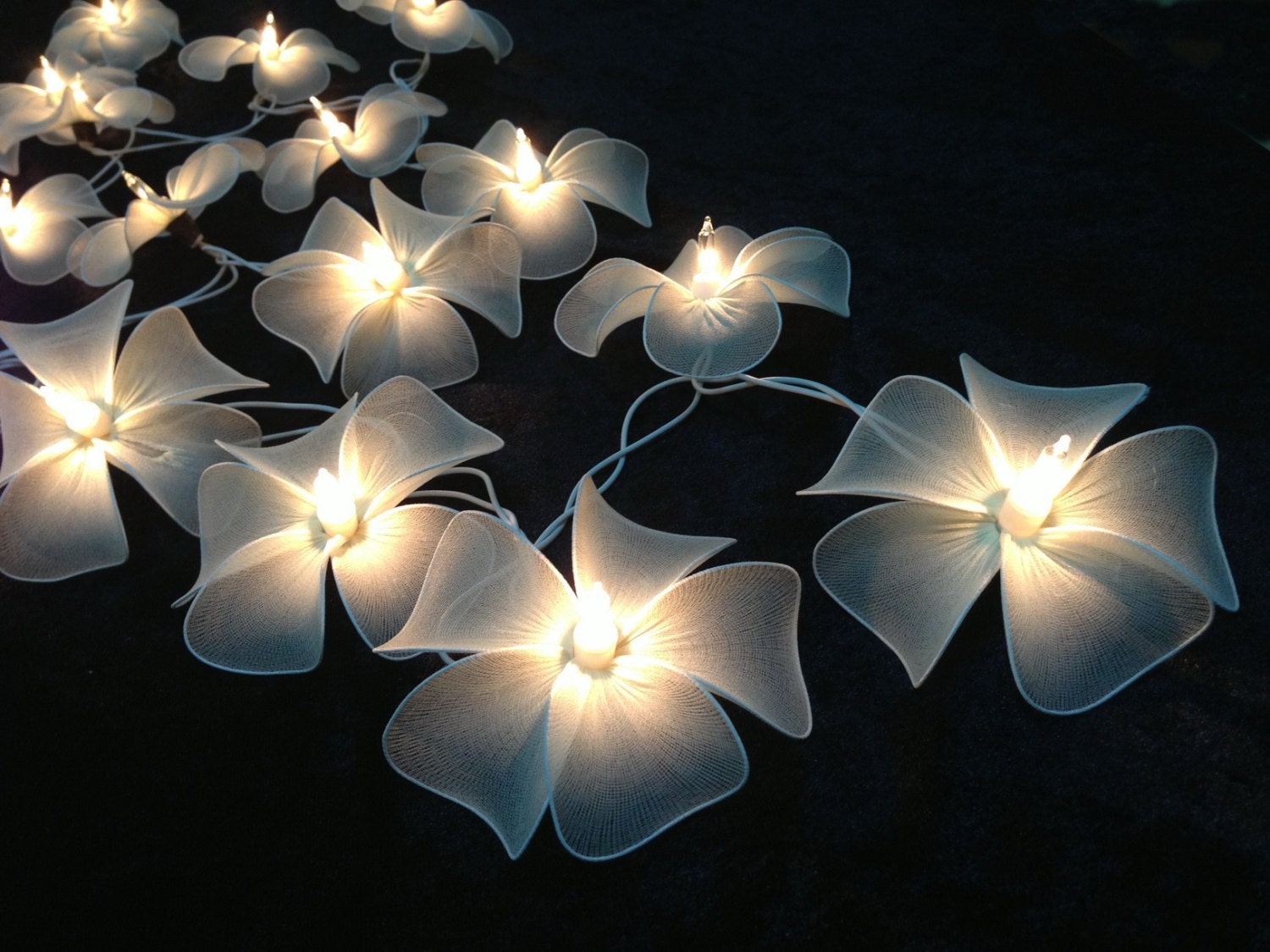 Handmade White flower string lights for Patio,Wedding,Party and Decoration (20 bulbs)
