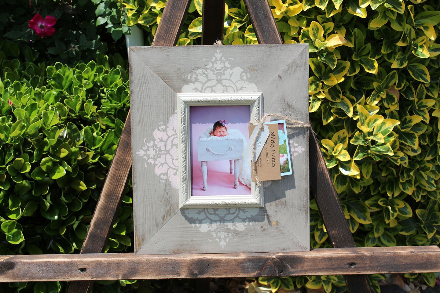 4x6 Distressed Picture Frame, Damask, Costa Villa / Castle Path / Seashell Pink