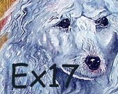 Postcard Poodle Dog Art Print 4 x 6 Stamped Post Card