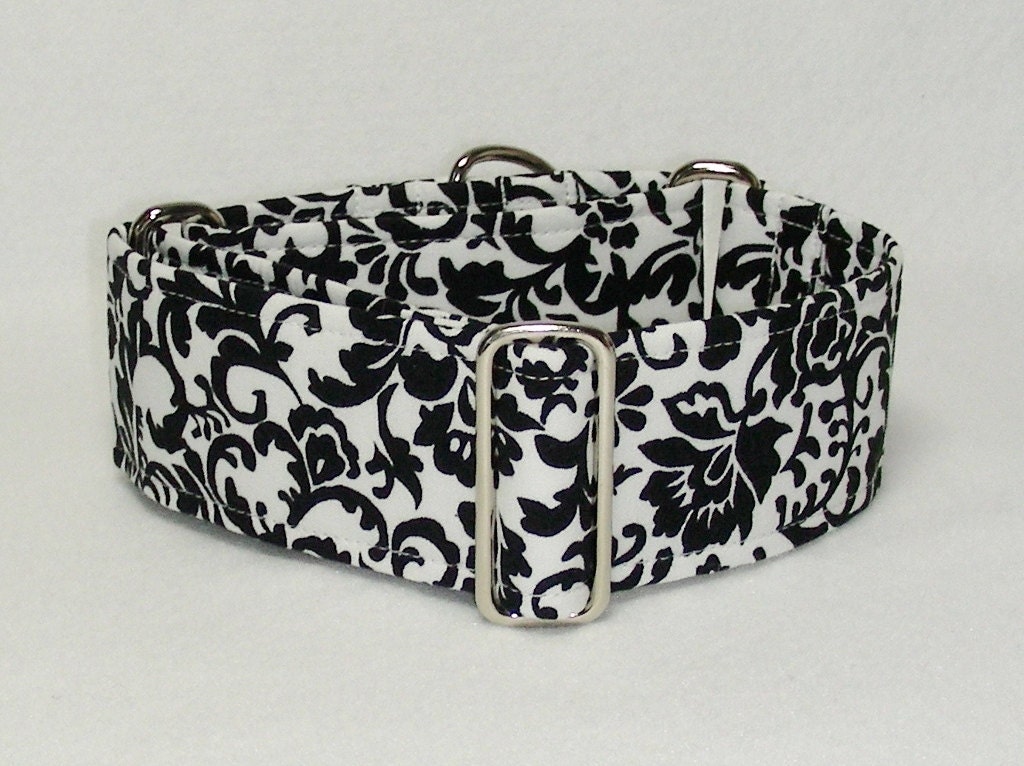 2 Inch Martingale, Greyhound Collar, Black and White