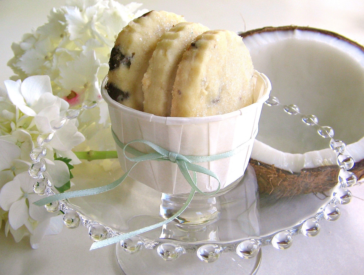 Tropical Cookies Treat Gift Tin - Coconut Chocolate Chip Shortbread- 1 Dozen