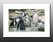Penguin Party Art Print, Signed Matted Print, Fun cubicle decor, Fits 5x7 inch frame