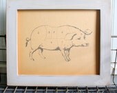 Farm Animal pencil drawing Pig in light gray frame