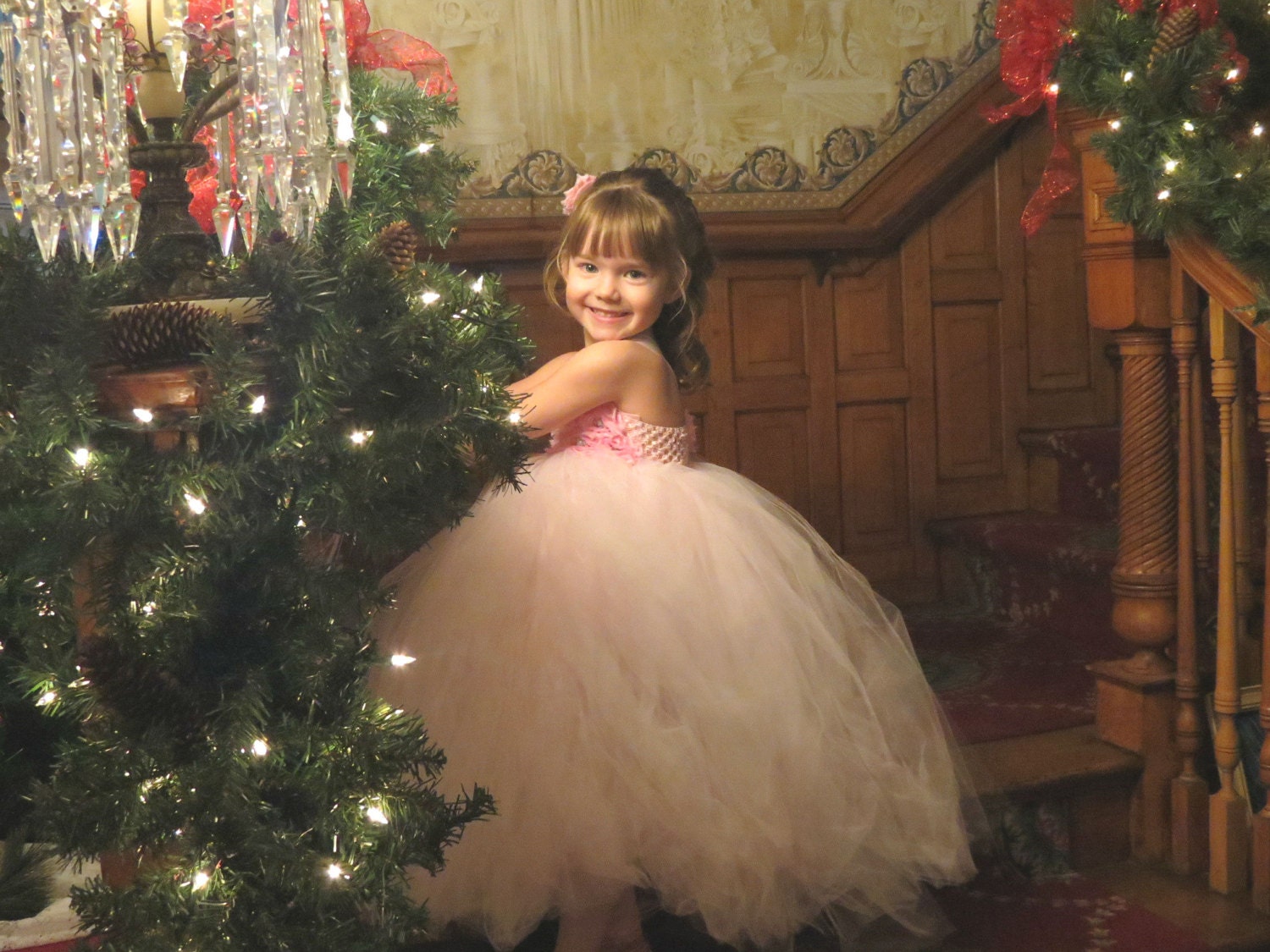 Flower girl dress, light pink tutu dress, roses, baby tutu dress, toddler tutu dress, newborn-24m,3t,4t,5t, birthday,wedding