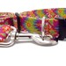 Hawaiian Dog Collar - 1" Wide - Medium & Large Sizes