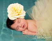 Ready to ship - Newborn Baby Photo Prop Yellow & Ivory Tutu Set