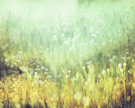 Abstract Landscape Photography, Field of Wildflowers, Impressionistic Wall Art, Aqua, Mint Gold, Meadow of Small White Flowers 8x10 Print