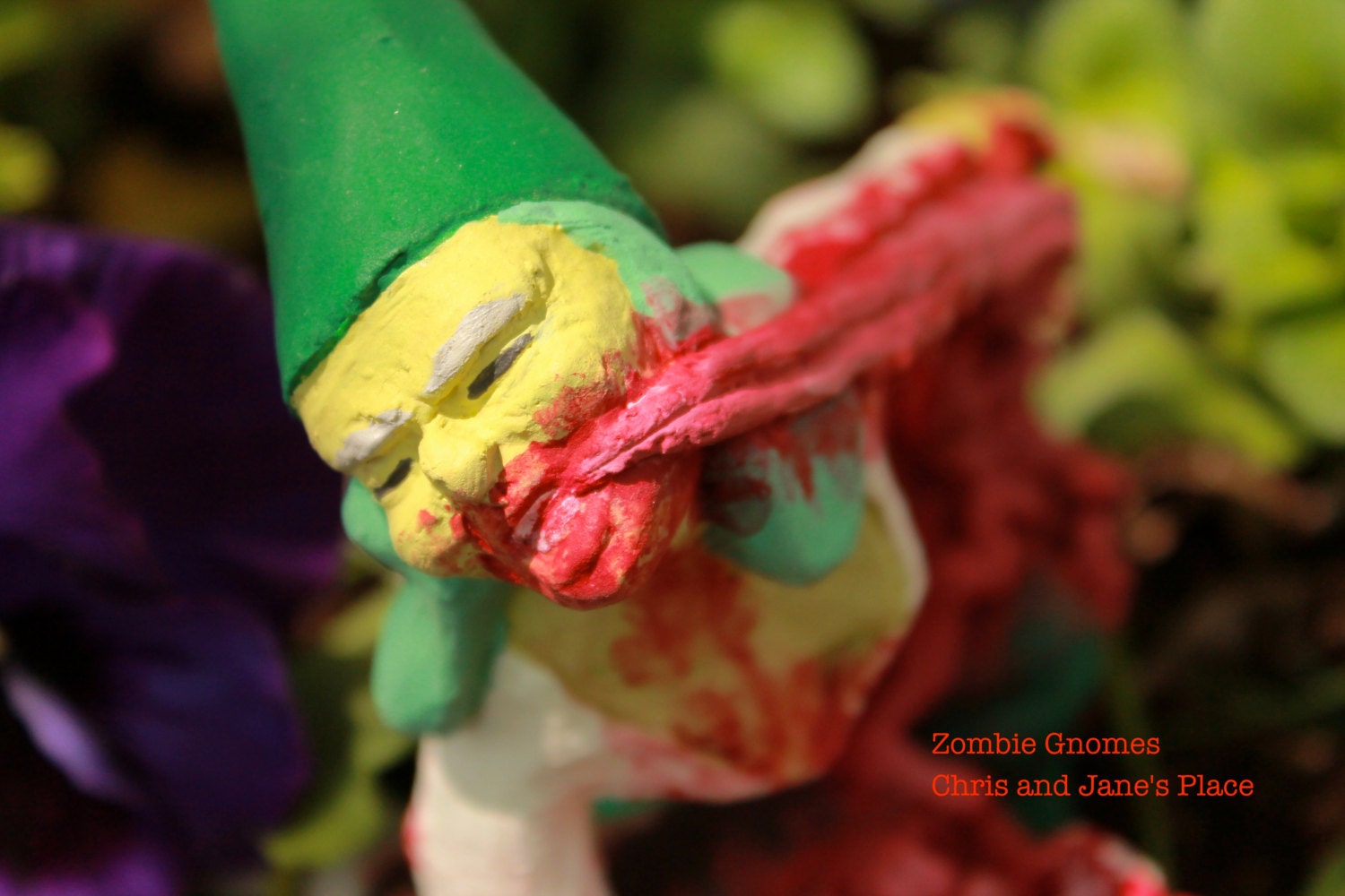 Zombie Gnomes: Gertrude Guts FREE USA SHIPPING