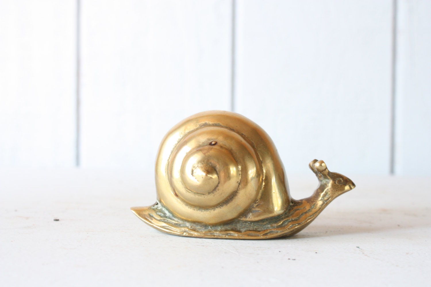 Large Brass Snail // Solid Brass