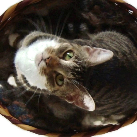 Cat Kitten Bed Basket Pad Sheep-friendly Wool Fleece Felted Mat- Jacob
