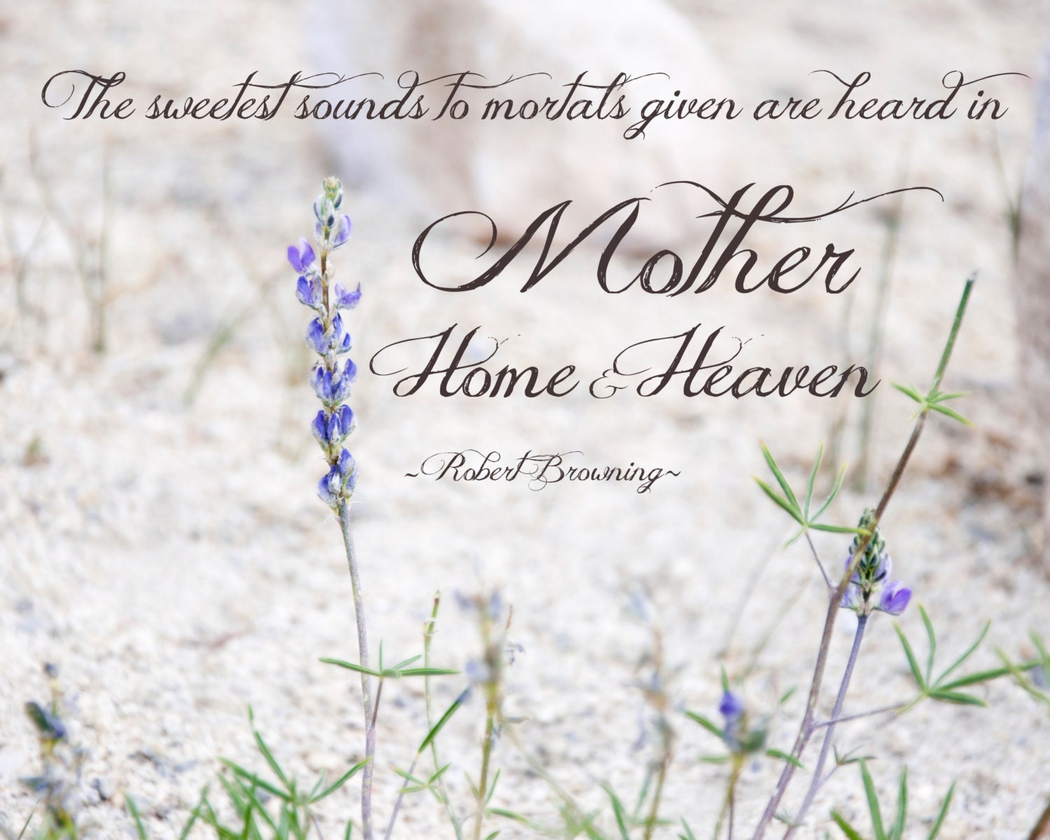 Gift for Mom - Nature Photography print with Inspirational quote - Lavender nude wall art - Typography home decor - Spring Flower Art