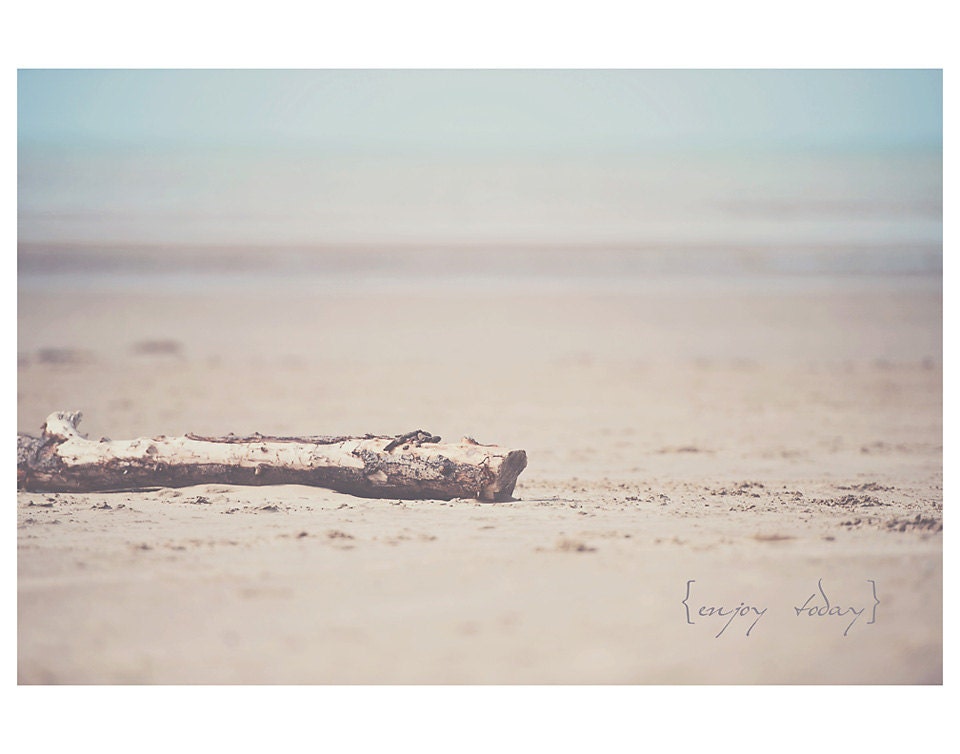 beach ocean  branch landscape quote  photo print - whimsical fine art nature photography, cream, mint, water, sand, pink  - 14x11