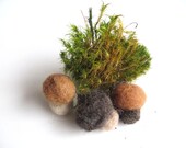 Natural & plant dyed felt mushrooms, 4 pieces, pure new wool, natural wool, felted, white, ivory, vanilla, yellow, beige, brown, grey, gray