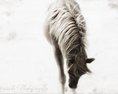 20x10 Abstract Wild Horse Art, equestrian art, horse lover, black and white wall art sepia decor mane unique nature photography horse's mane
