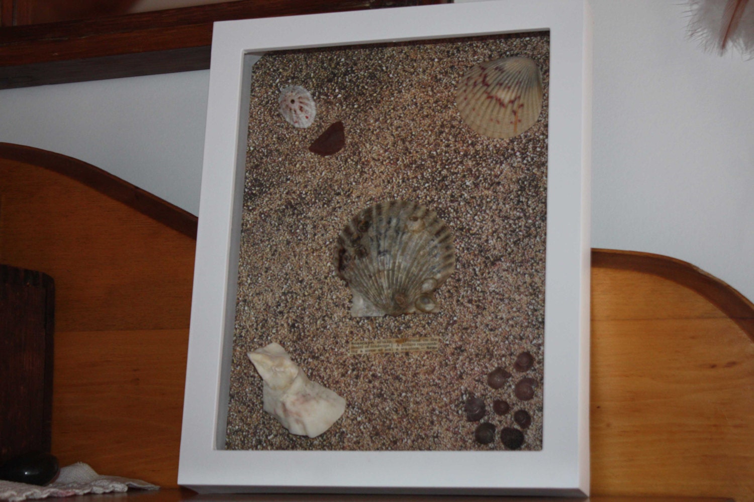 Beach shadow box - shell - sea glass - handmade - wall hanging
