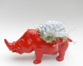 Red Rhinoceros Planter - Mini Modern Art Centerpiece with White Water Stone Flower