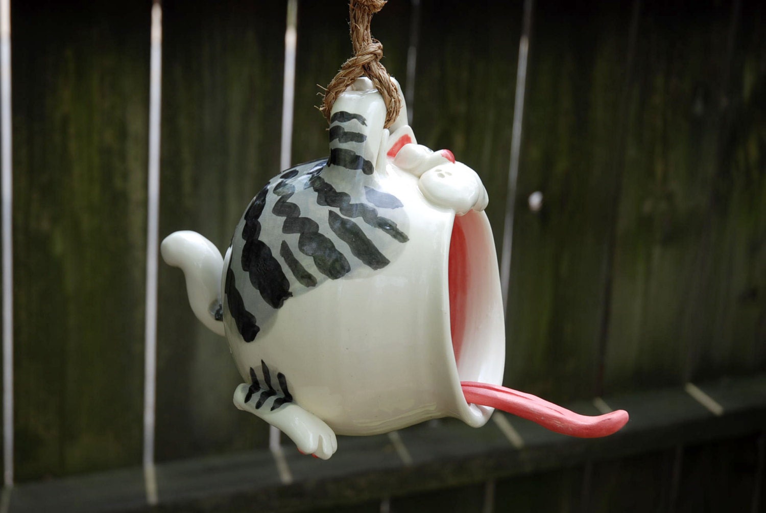Tabby Cat disguised as a Bird Feeder