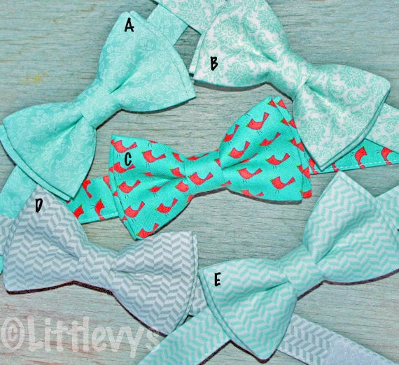 Mint Green Bow Tie -- Mint Green Tie -- Mint Green Ringbearer Tie -- Spring Ties for Boys -- Easter Bowtie