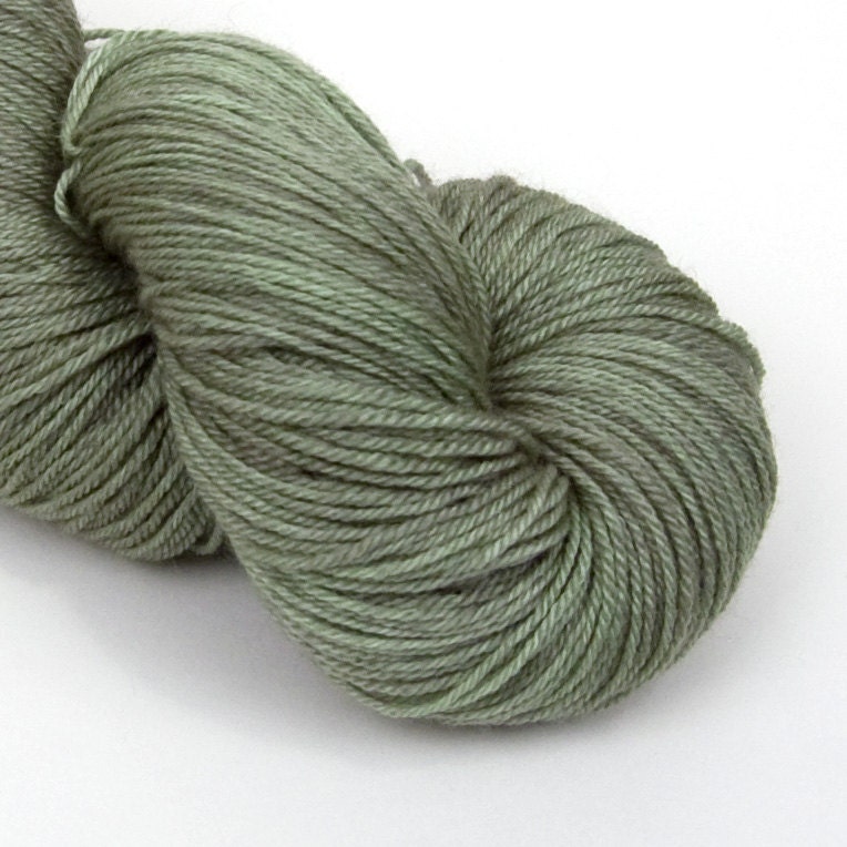 BFL  Beauty in Fern