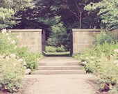 Secret Garden - Fine Art Landscape Photography, nature, storybook, home decor