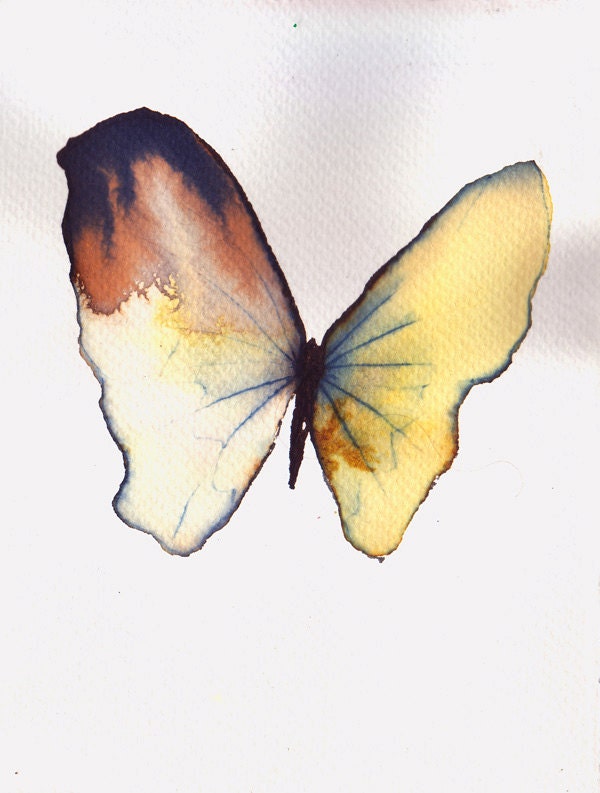 pale yellow butterfly with rust brown wing. original watercolour painting - metamorphosing