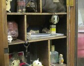 Curiosity Cabinet  Example Assemblage of curiosities CUSTOM