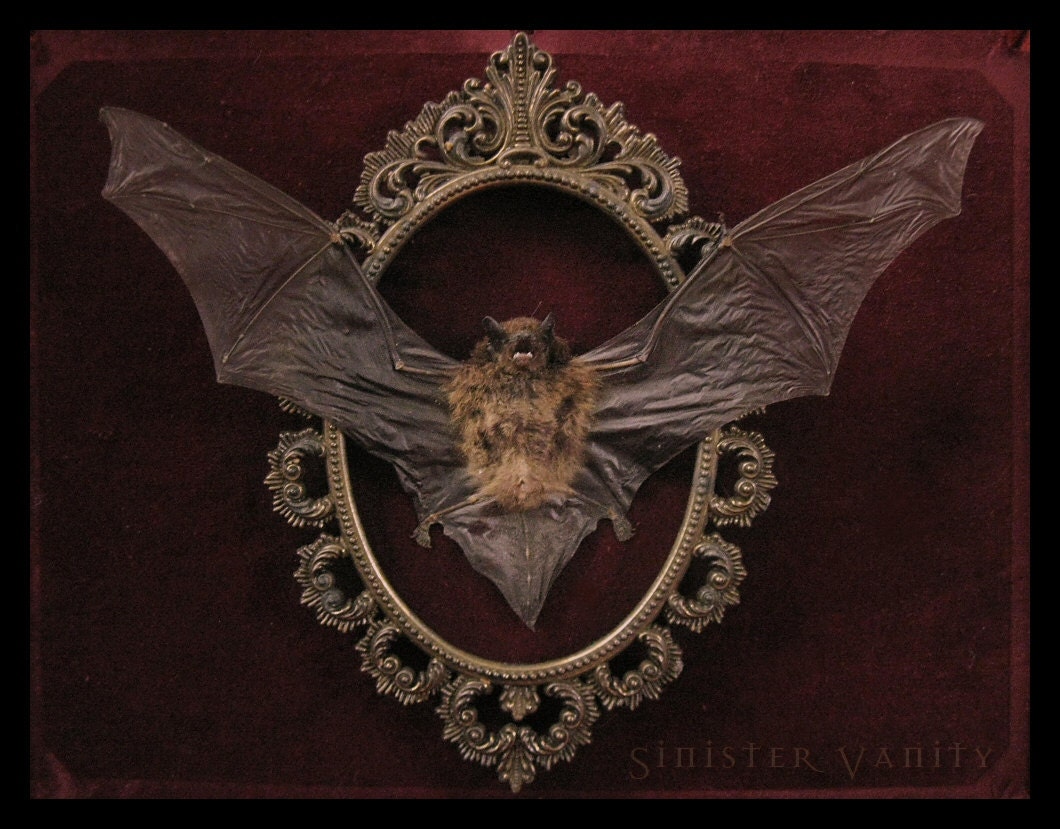 Gothic Taxidermy Bat Goth Curio Black Antique Damask Brass Filigree Neo-Victorian Shadow box frame macabre wall Plaque art