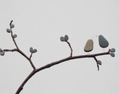 Pebble Art of Nova Scotia by Sharon Nowlan