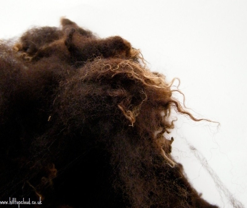 Zwartbles Fleece- Washed Fleece Black, 100g 3.5oz