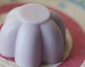 Lavender Dreams Solid Hair Conditioner Bar
